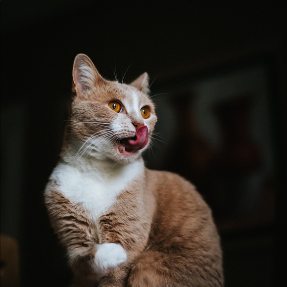 Hi Franny here. - Picture 2 of 4